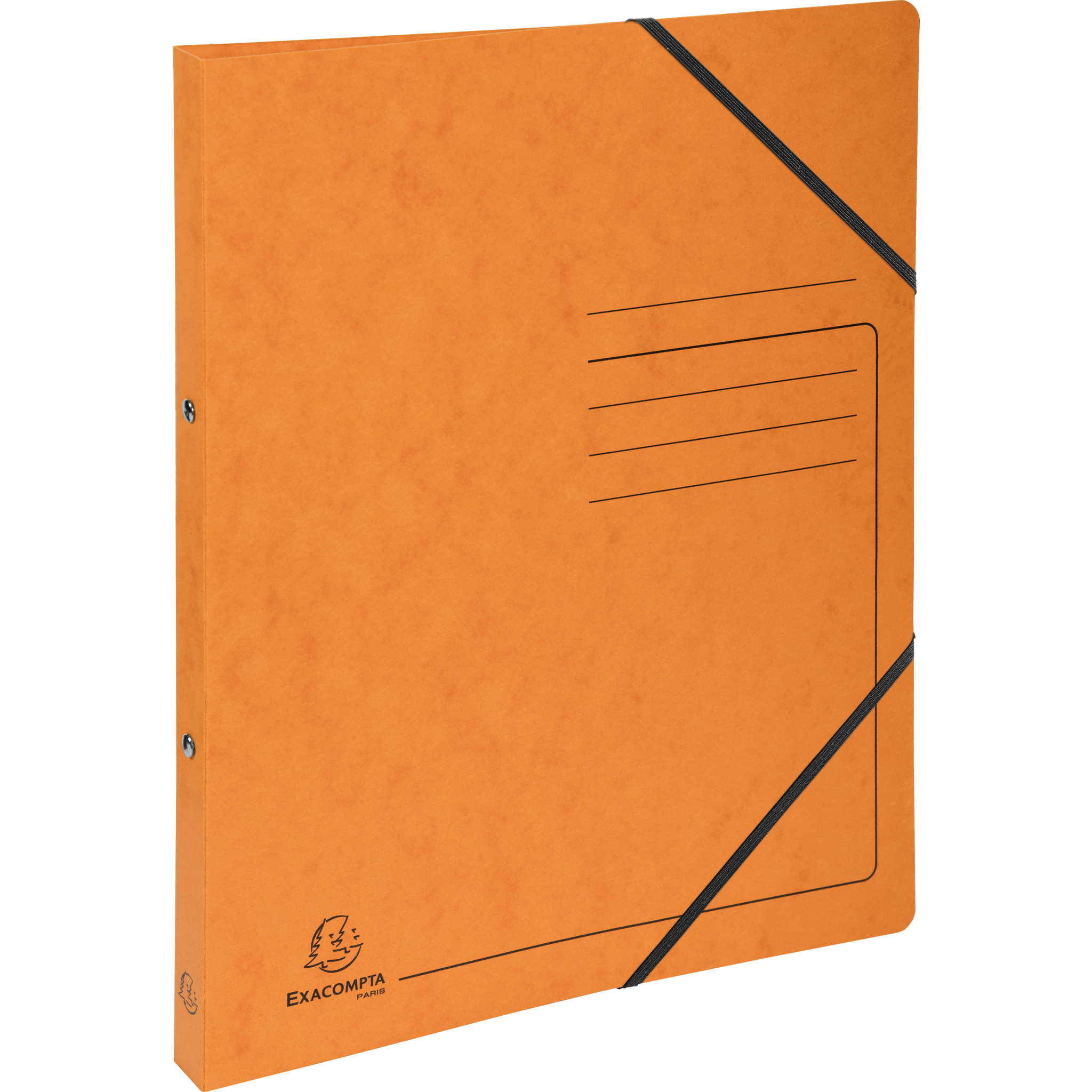 Exacompta Ringhefter A4, 2 Ringe 15mm, Karton, bedruckt Farbauswahl - Bild 18 von 44