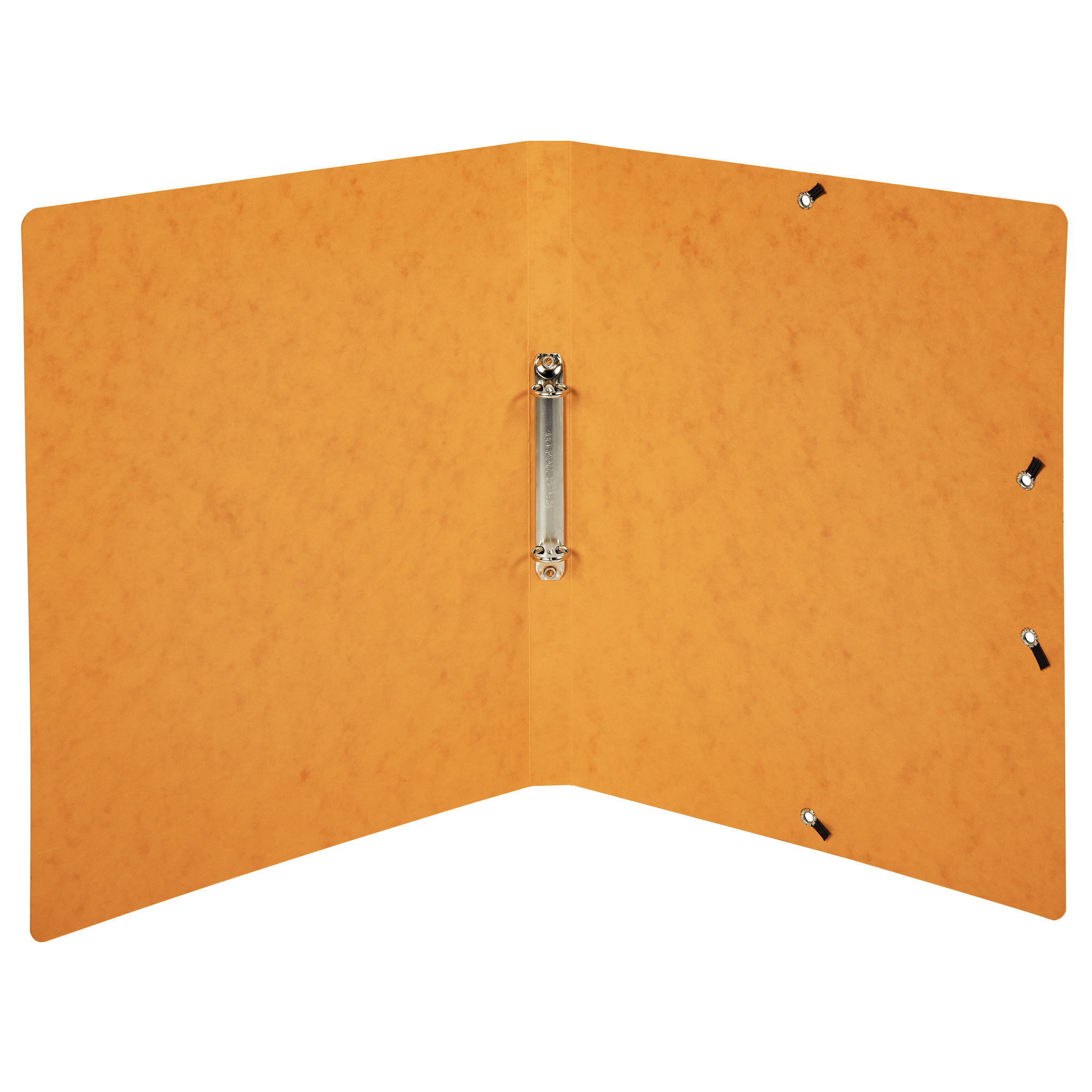 Exacompta Ringhefter A4, 2 Ringe 15mm, Karton, bedruckt Farbauswahl - Bild 19 von 44